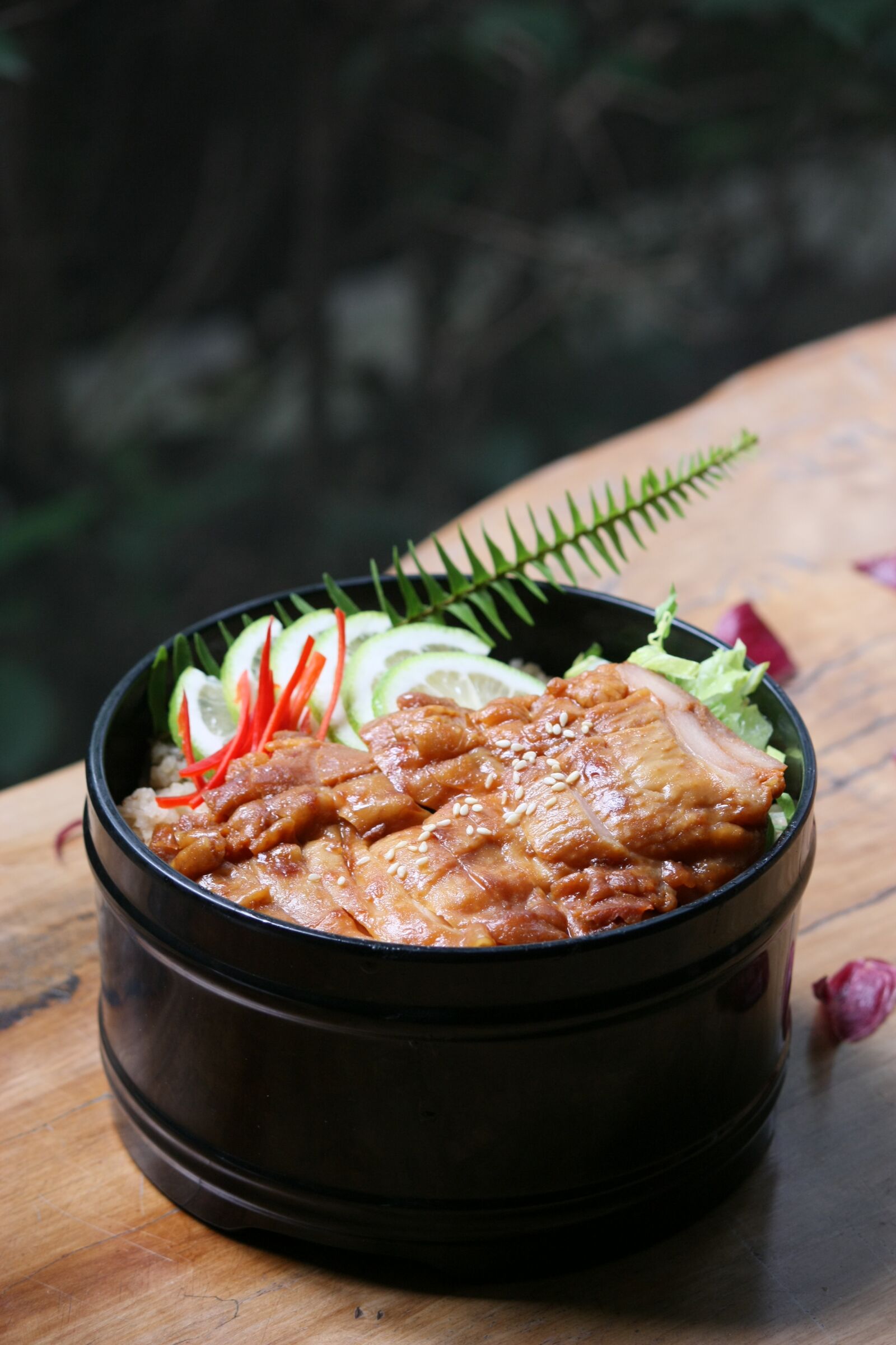 Canon EOS 450D (EOS Rebel XSi / EOS Kiss X2) sample photo. Lunch box, gourmet, chinese photography