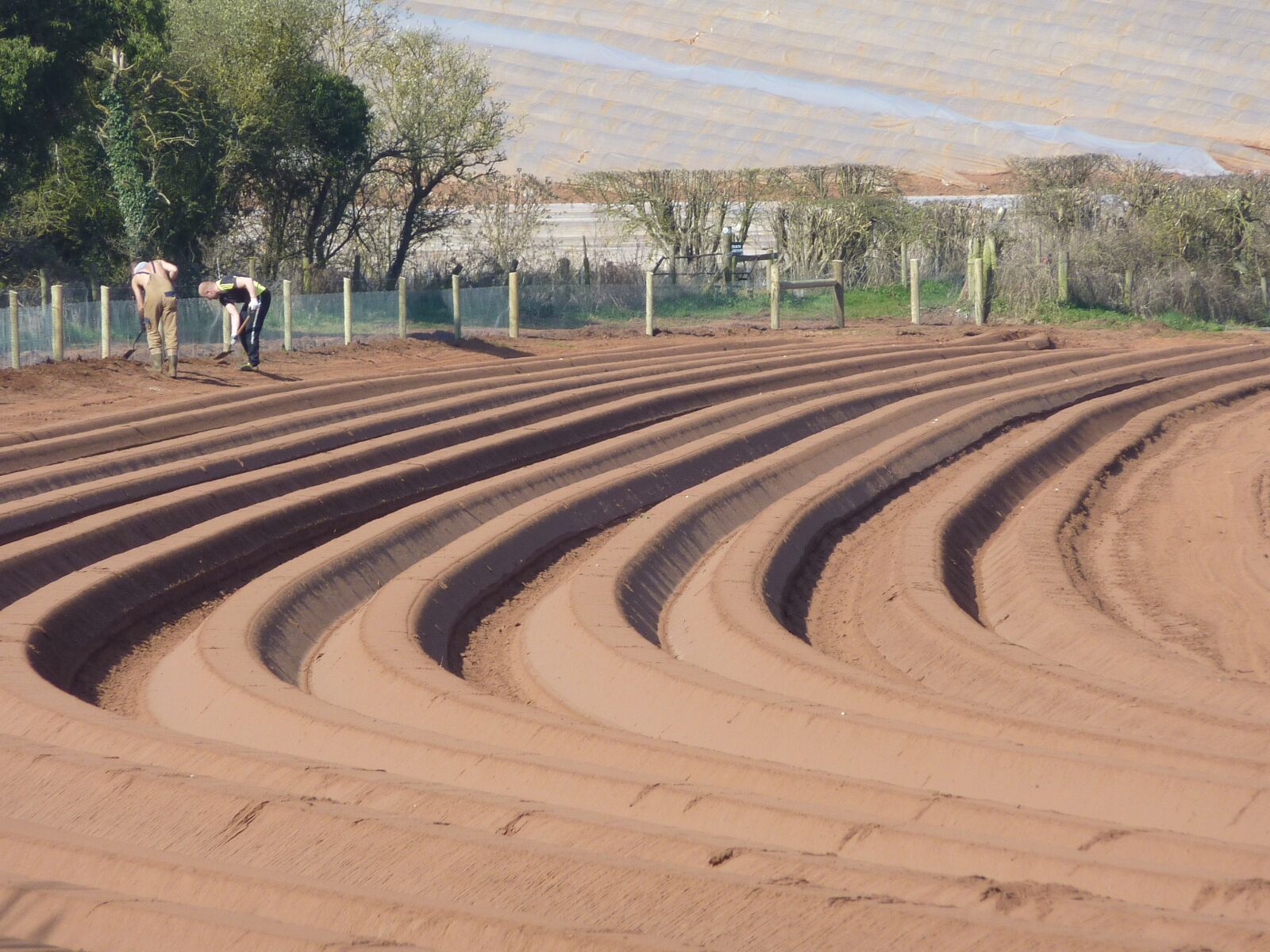 Panasonic DMC-TZ7 sample photo. Farming, planting, agriculture photography