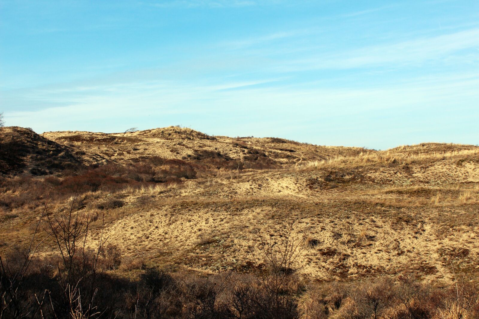 Canon EOS 650D (EOS Rebel T4i / EOS Kiss X6i) sample photo. Landscape, dune, north sea photography