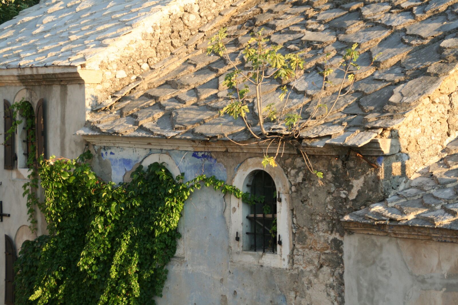 Canon EOS 350D (EOS Digital Rebel XT / EOS Kiss Digital N) sample photo. Old town, ivy, stone photography