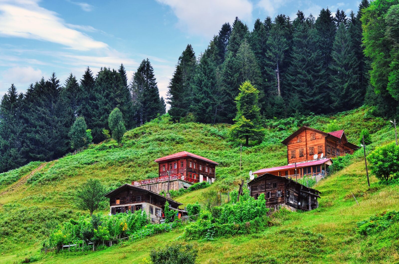 Nikon D5100 sample photo. Wood-fibre boards, mountain, home photography