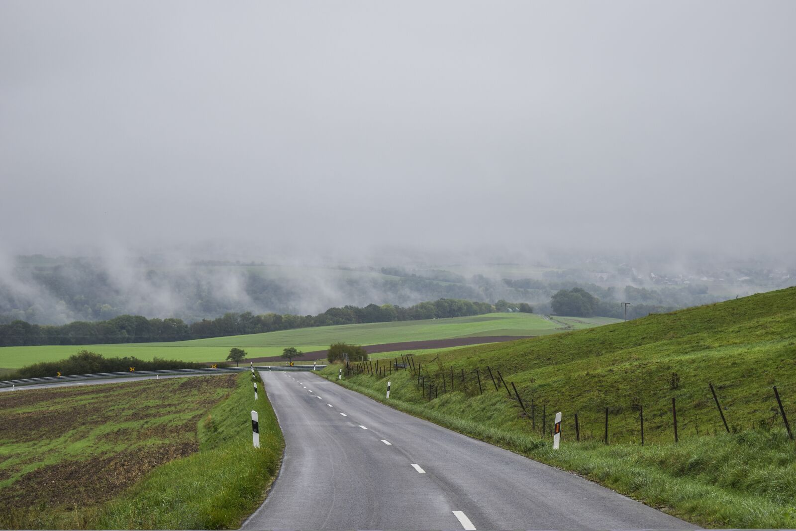 Nikon D3300 sample photo. Landscape, fog, forest photography
