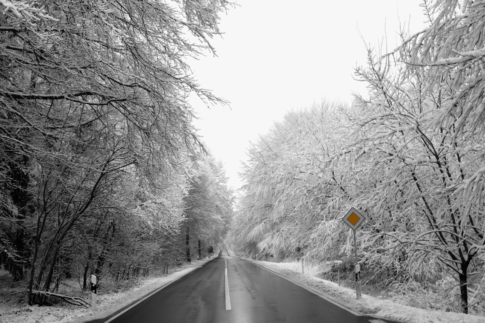 Nikon D3300 sample photo. Snow, wood, nature photography