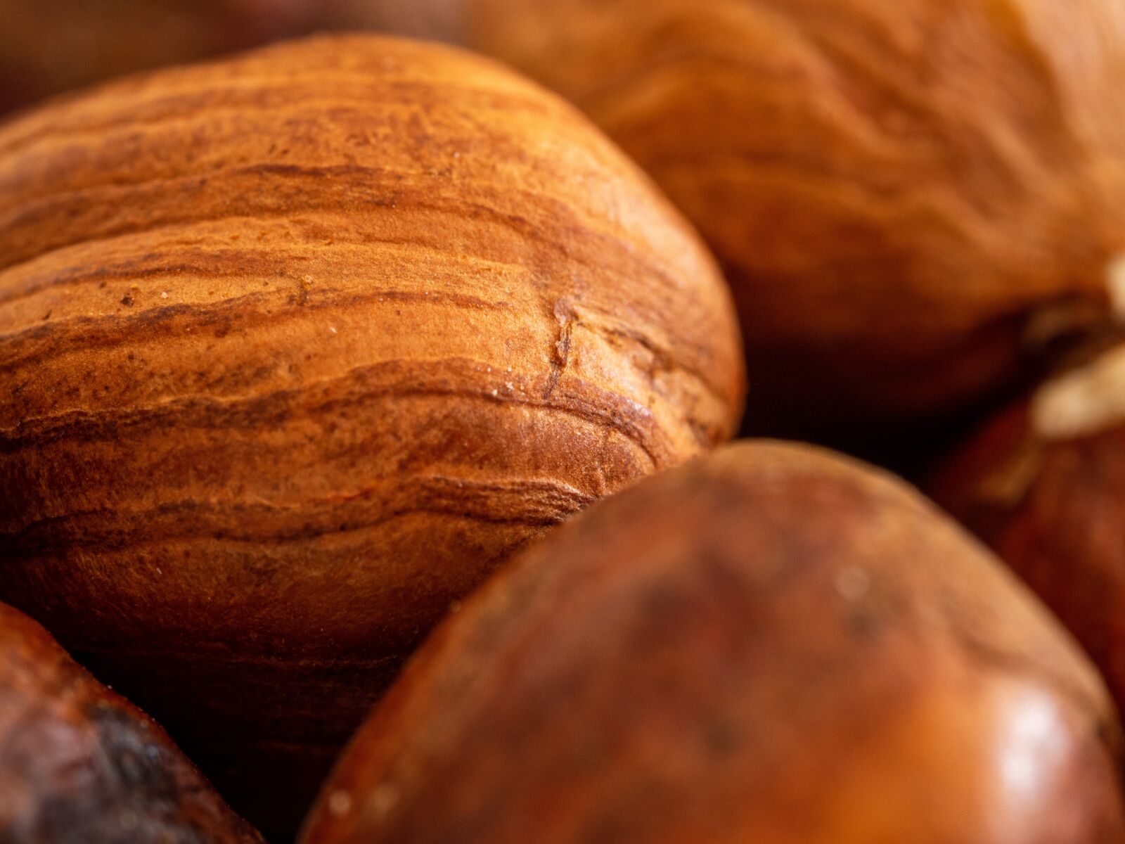 Olympus OM-D E-M10 III sample photo. Walnut, hazel, fetus photography