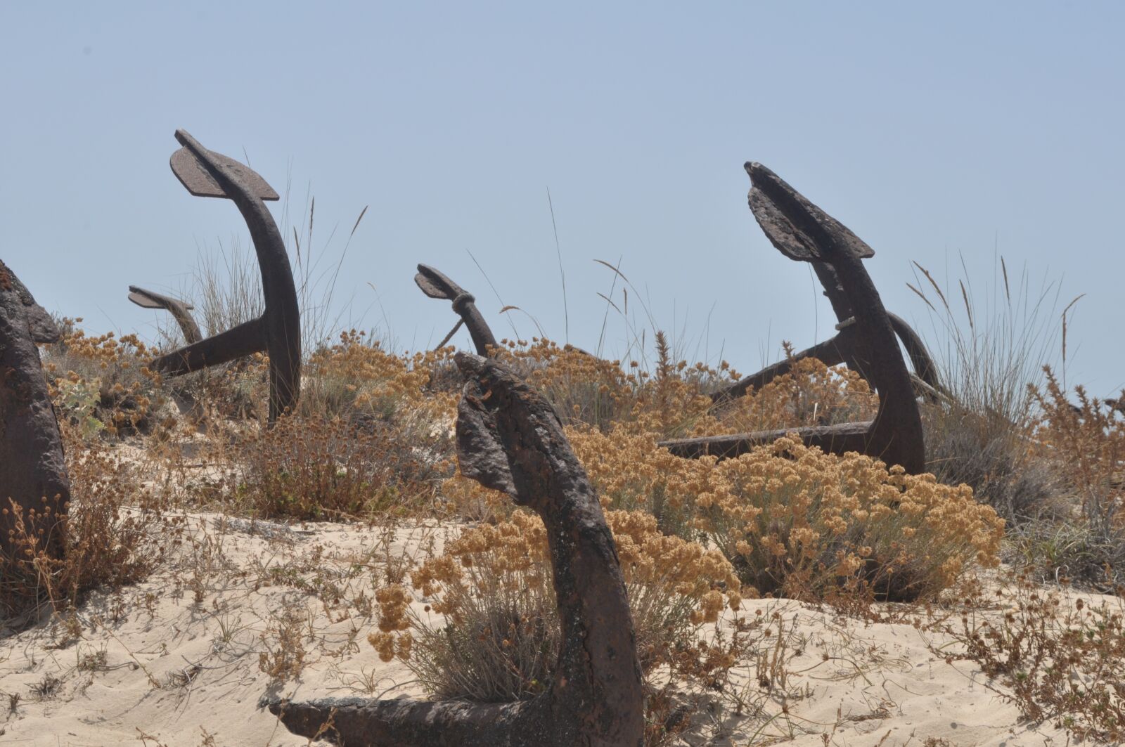 Nikon D5000 sample photo. Beach, anchor, tavira photography