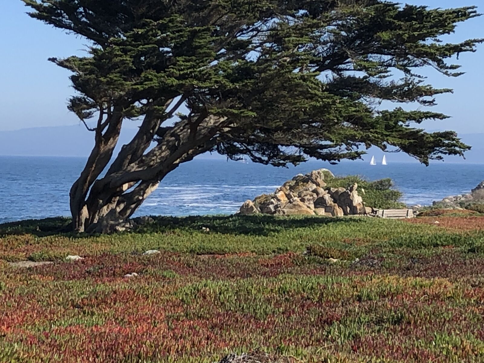 Apple iPhone 8 sample photo. Monterey, ocean, california photography