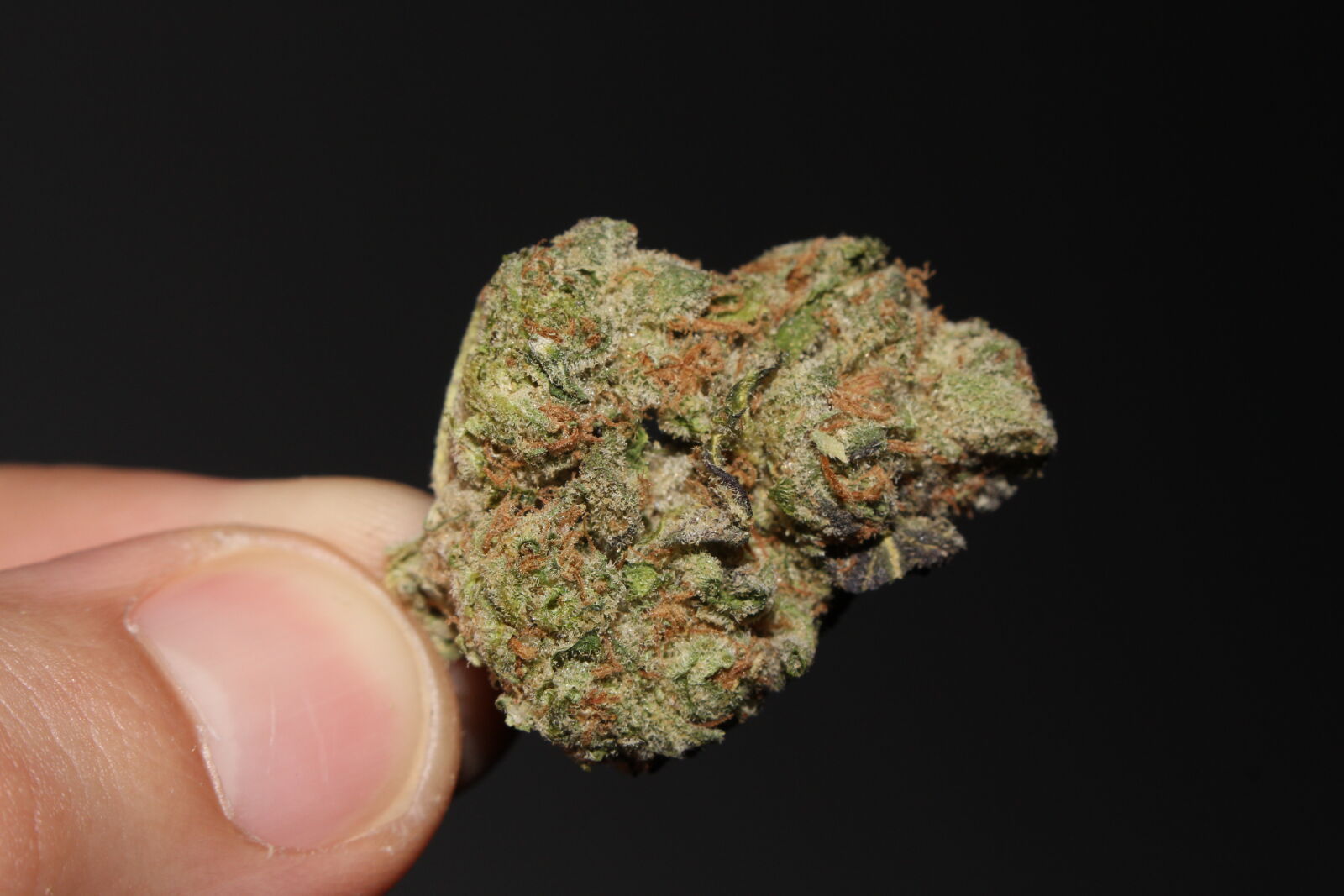 Canon EOS 700D (EOS Rebel T5i / EOS Kiss X7i) sample photo. 420, 710, cannabis, ganja photography