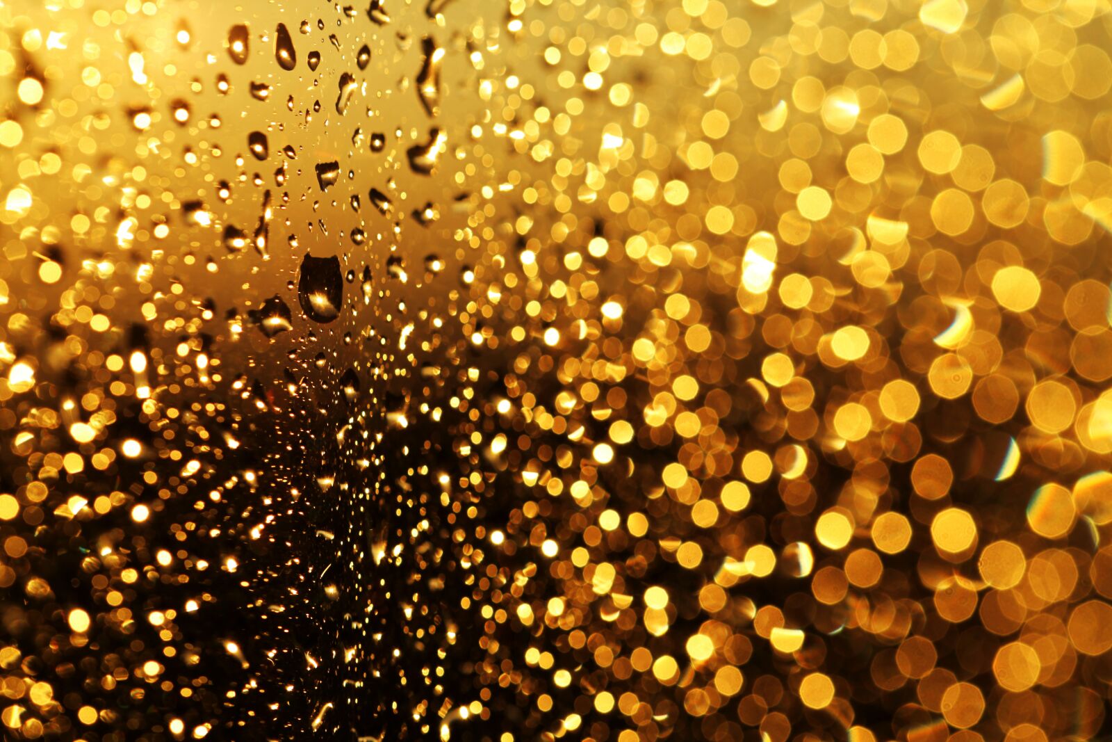 Canon EOS 5D Mark II sample photo. Glow, glowing, golden photography