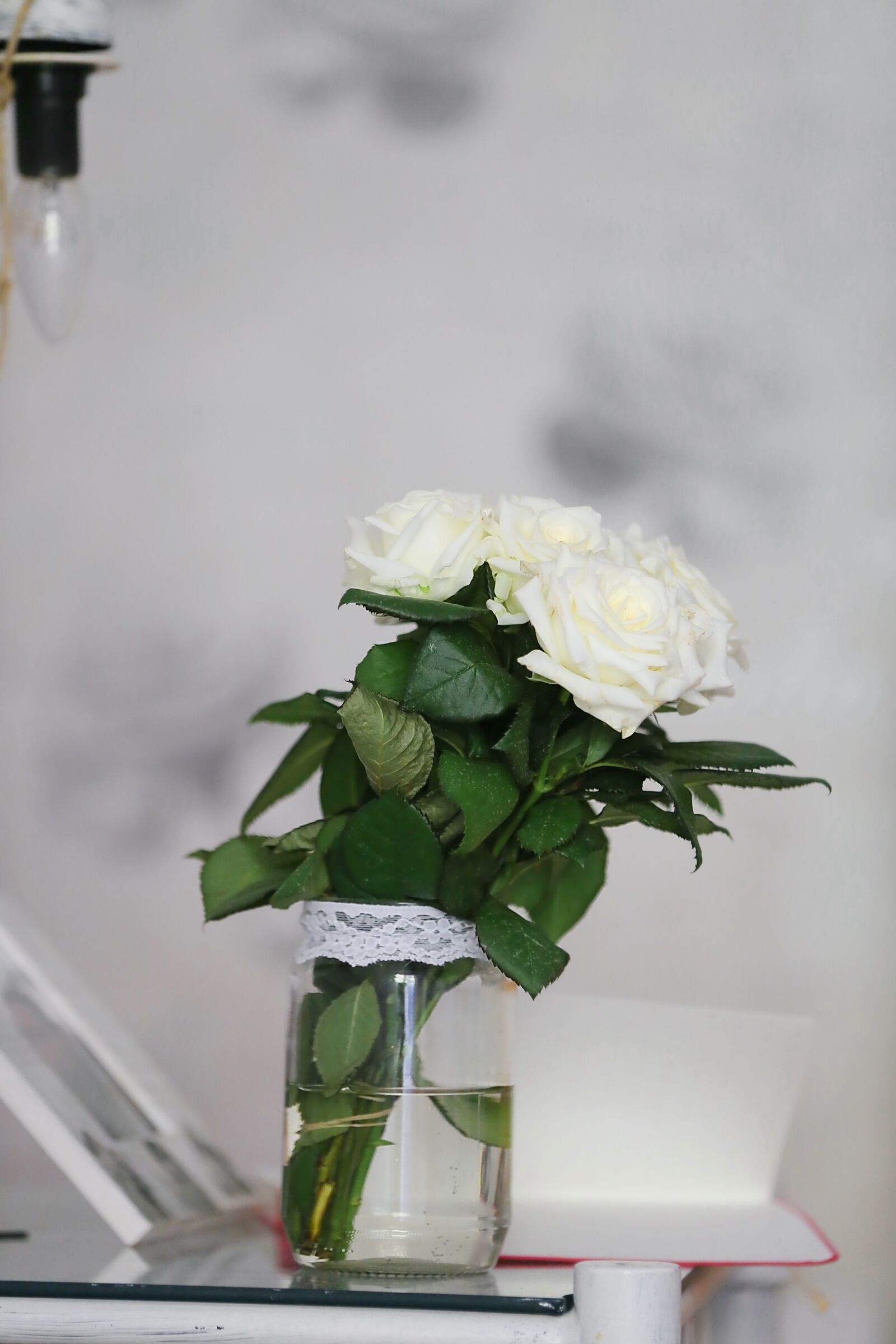 Canon EOS 6D sample photo. Roses, white flower, minimalism photography