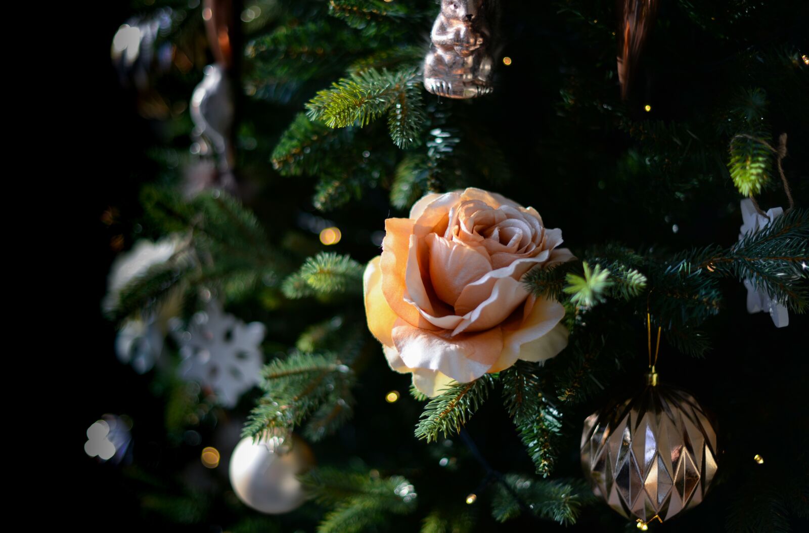 Nikon D610 sample photo. Fake, flower, xmas photography