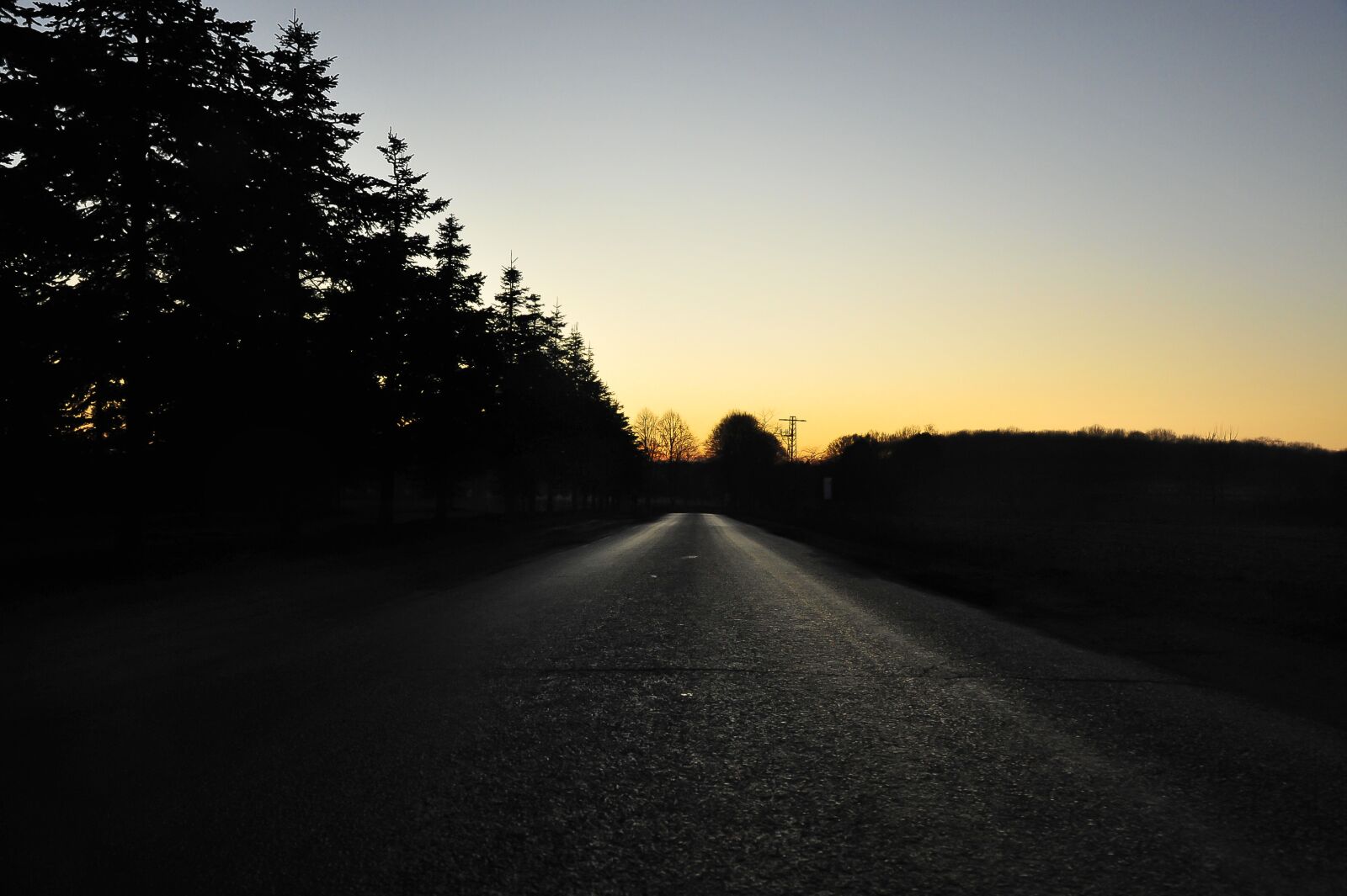 Nikon D700 sample photo. Road, forest, evening sky photography