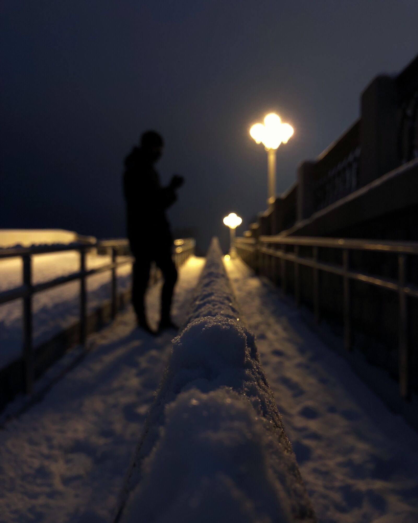 Apple iPhone 8 Plus sample photo. Snow, winter, lantern photography