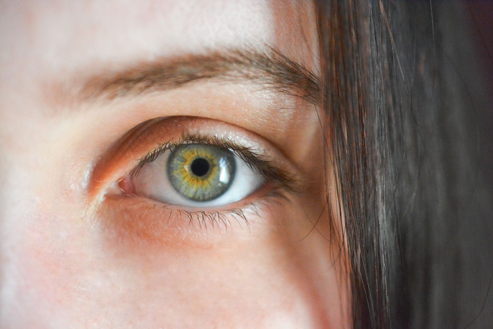 Nikon D5200 sample photo. Eye, iris, algae photography