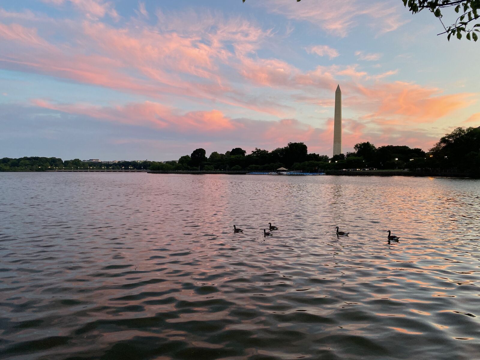 Apple iPhone 11 Pro sample photo. Washington, monument, sunrise photography
