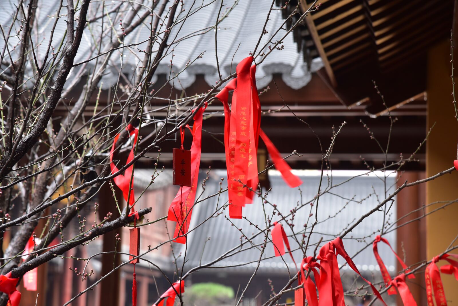 Nikon D750 sample photo. Buddhism, temple, china photography