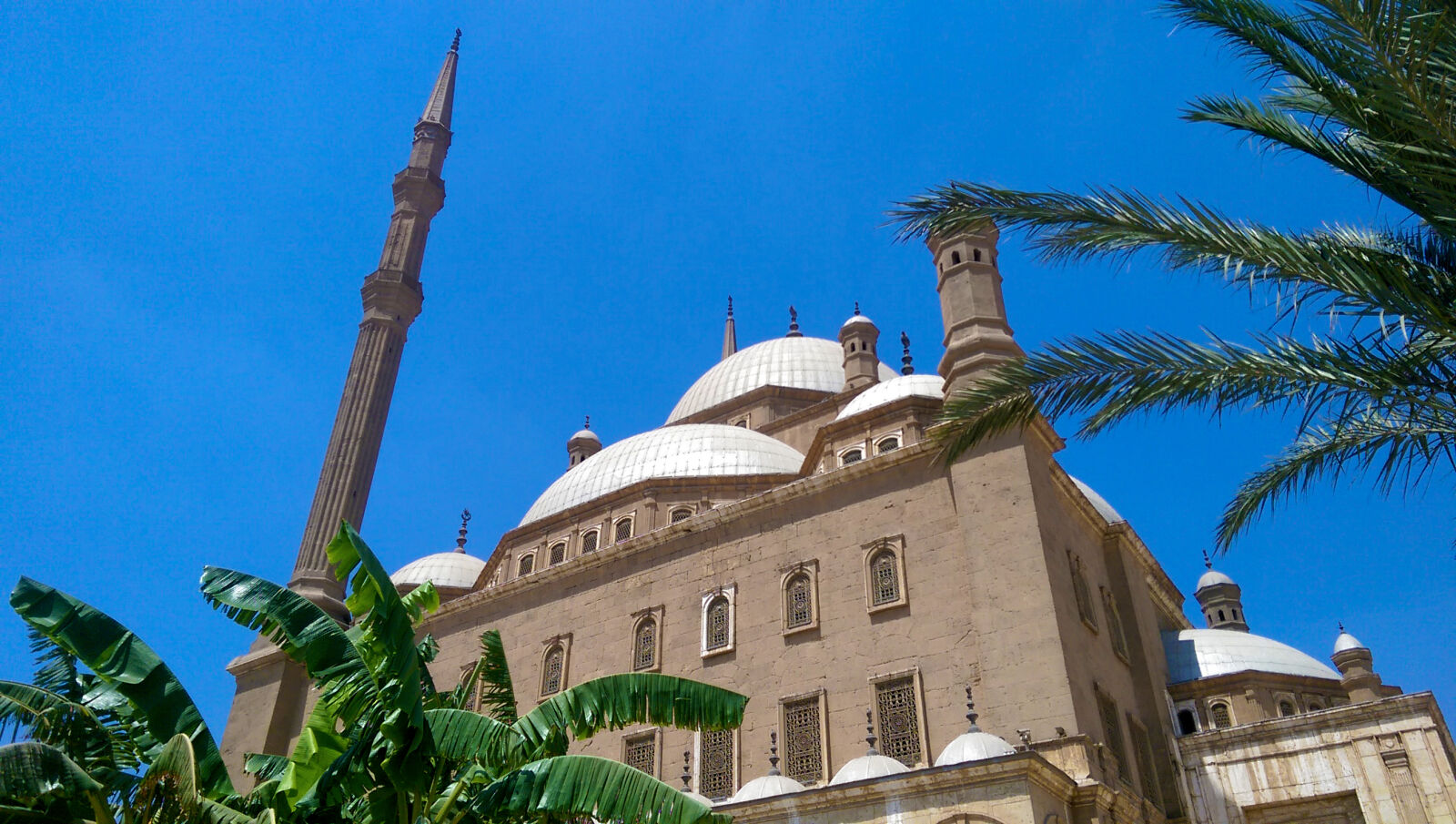 HTC ONE M8 sample photo. Egypt, mosque, palm, tree photography