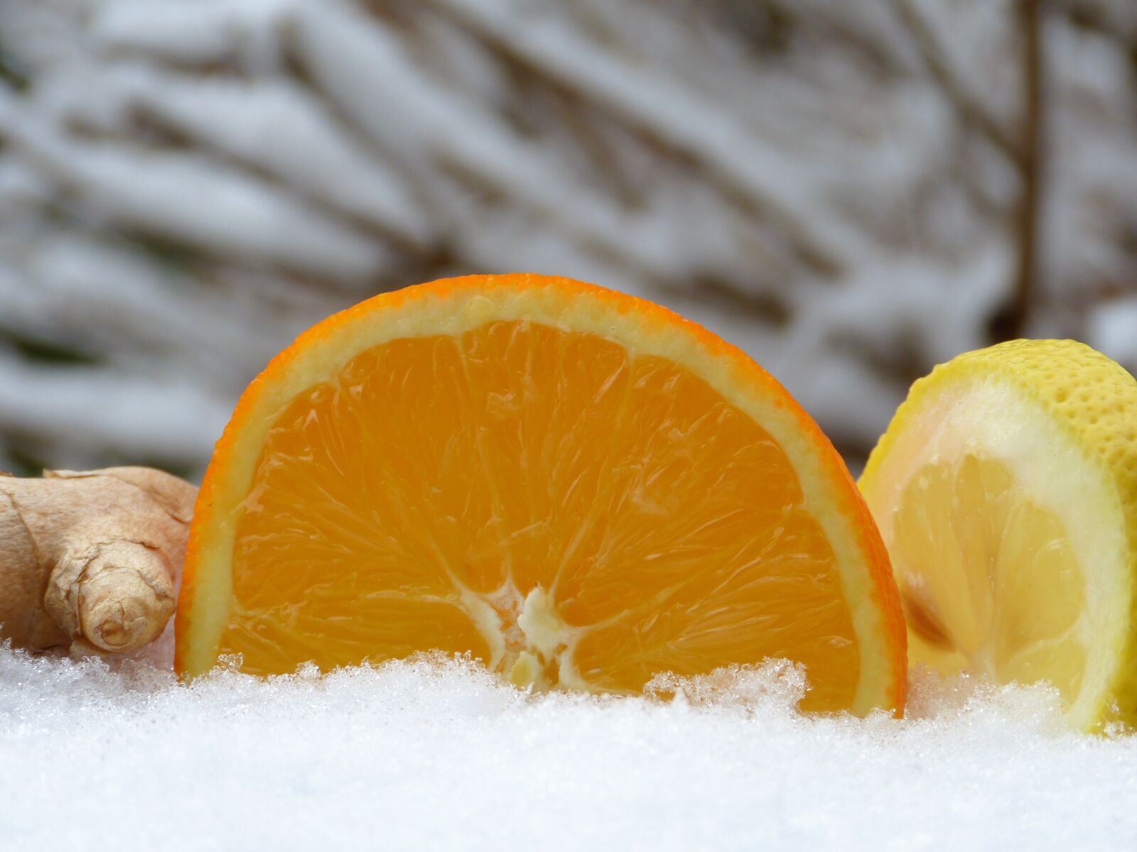 Panasonic Lumix DMC-FZ150 sample photo. Orange, ginger, lemon photography