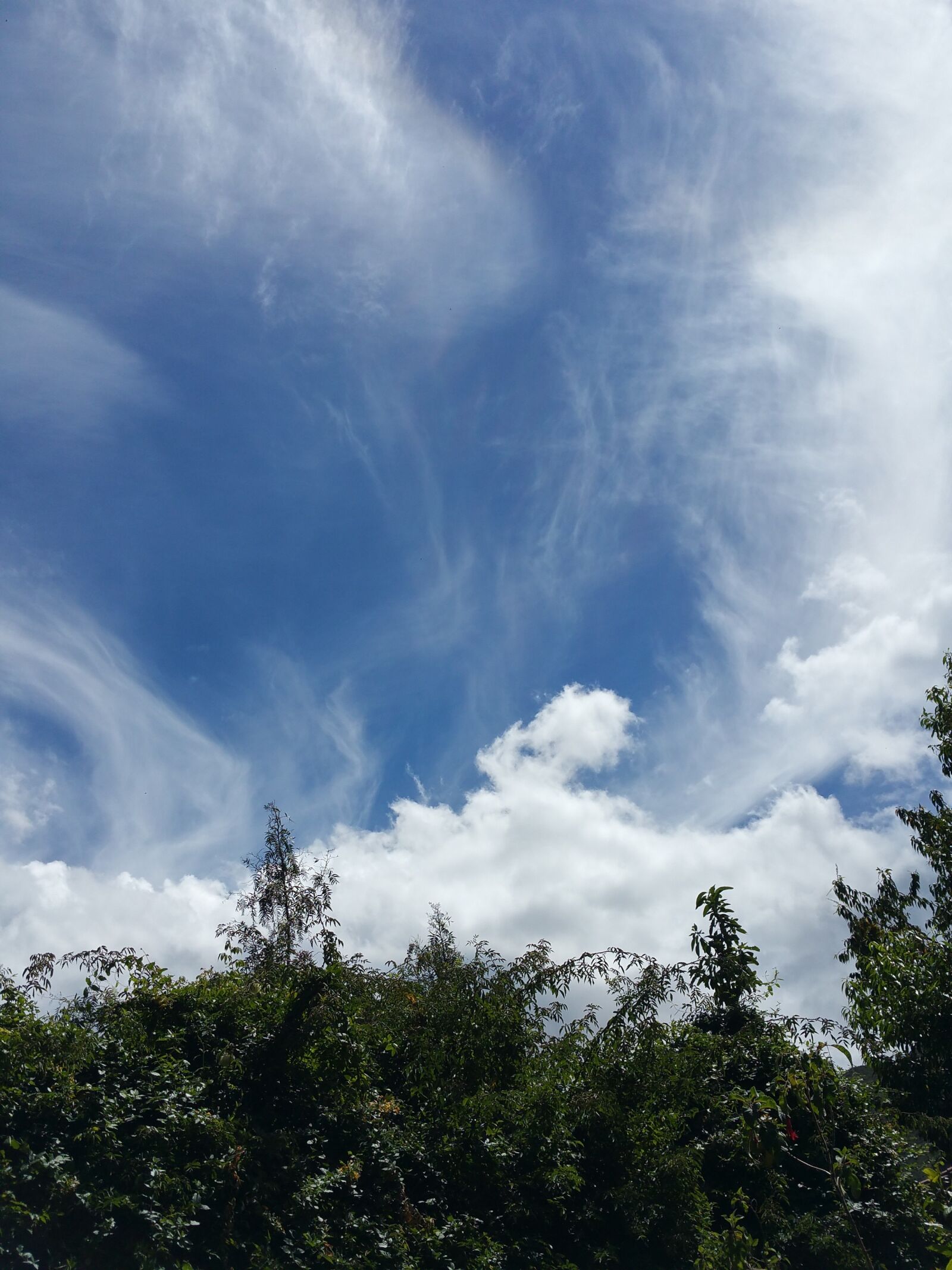 Samsung Galaxy Note4 sample photo. Nature, sky, landscape photography