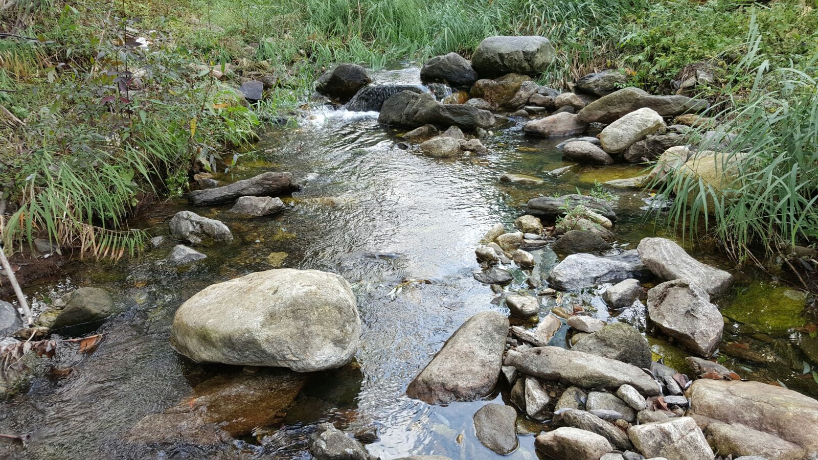 Samsung Galaxy Note5 sample photo. The rural brook, the photography