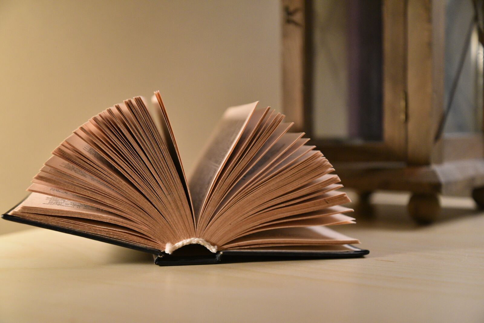 Nikon D750 sample photo. Book, read, books photography