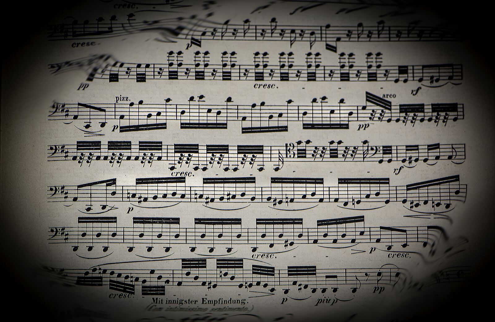 Nikon D5600 sample photo. Notes, melody, key photography