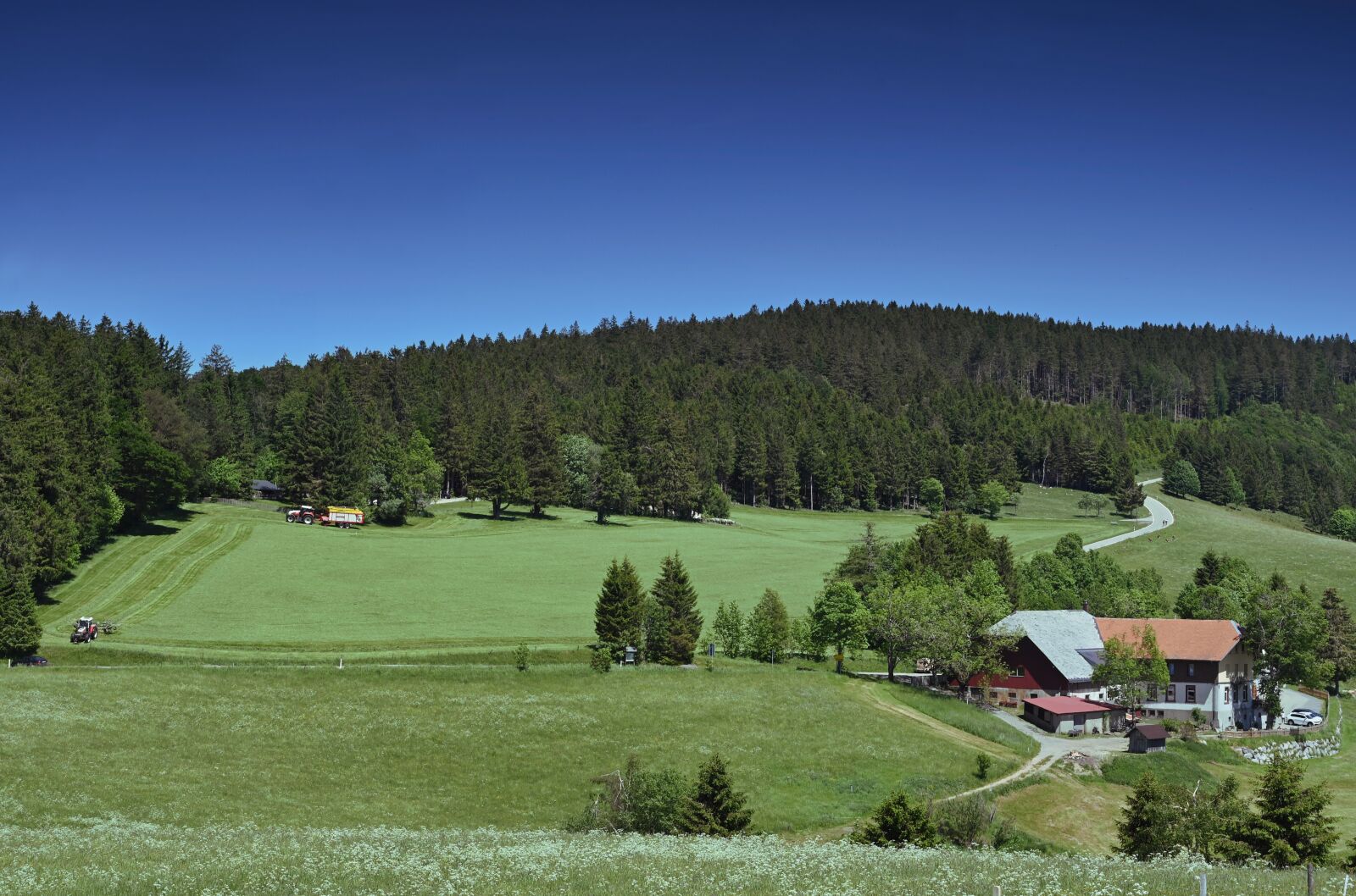 Nikon Z6 + Nikon Nikkor Z 24-70mm F4 S sample photo. Agriculture, farm, landscape photography