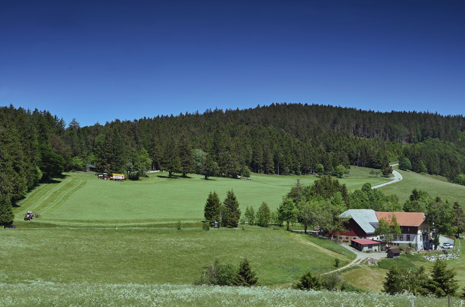 Nikon Nikkor Z 24-70mm F4 S sample photo. Agriculture, farm, landscape photography