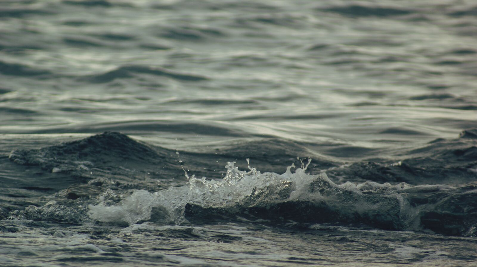 Sony Alpha DSLR-A350 sample photo. Water, sea, nature photography
