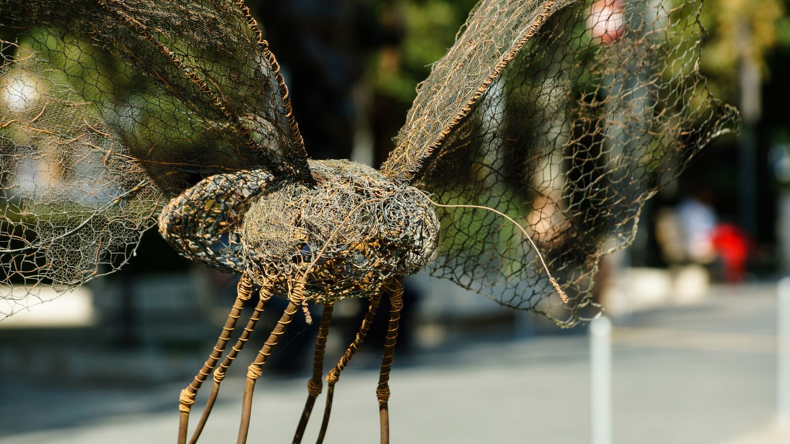 Sony DT 18-135mm F3.5-5.6 SAM sample photo. Sculpture, insect, butterfly photography