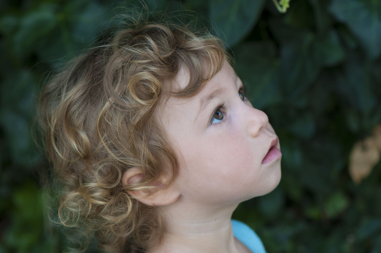 Nikon D300S sample photo. Face, little girl, curls photography