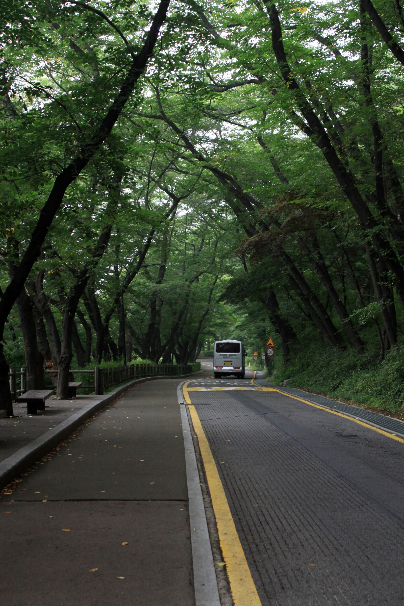 Canon EOS 50D sample photo. In the forest, road photography