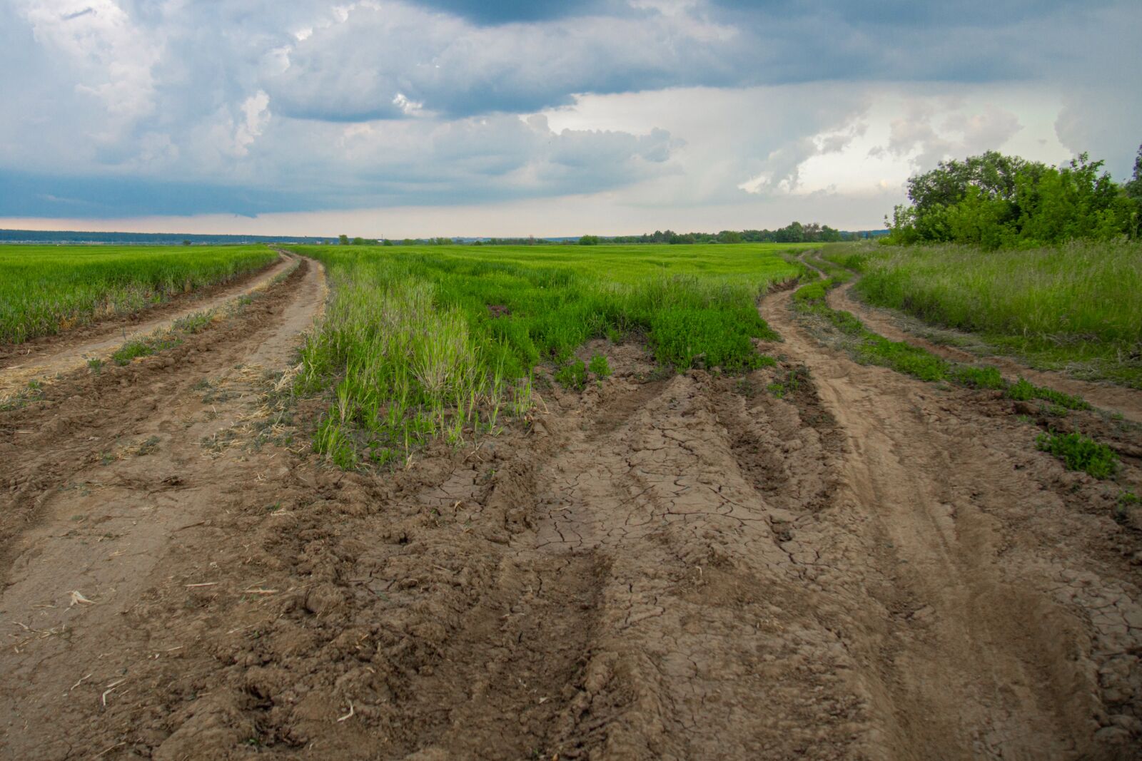 Olympus PEN E-PL6 sample photo. Landscape, field, nature photography