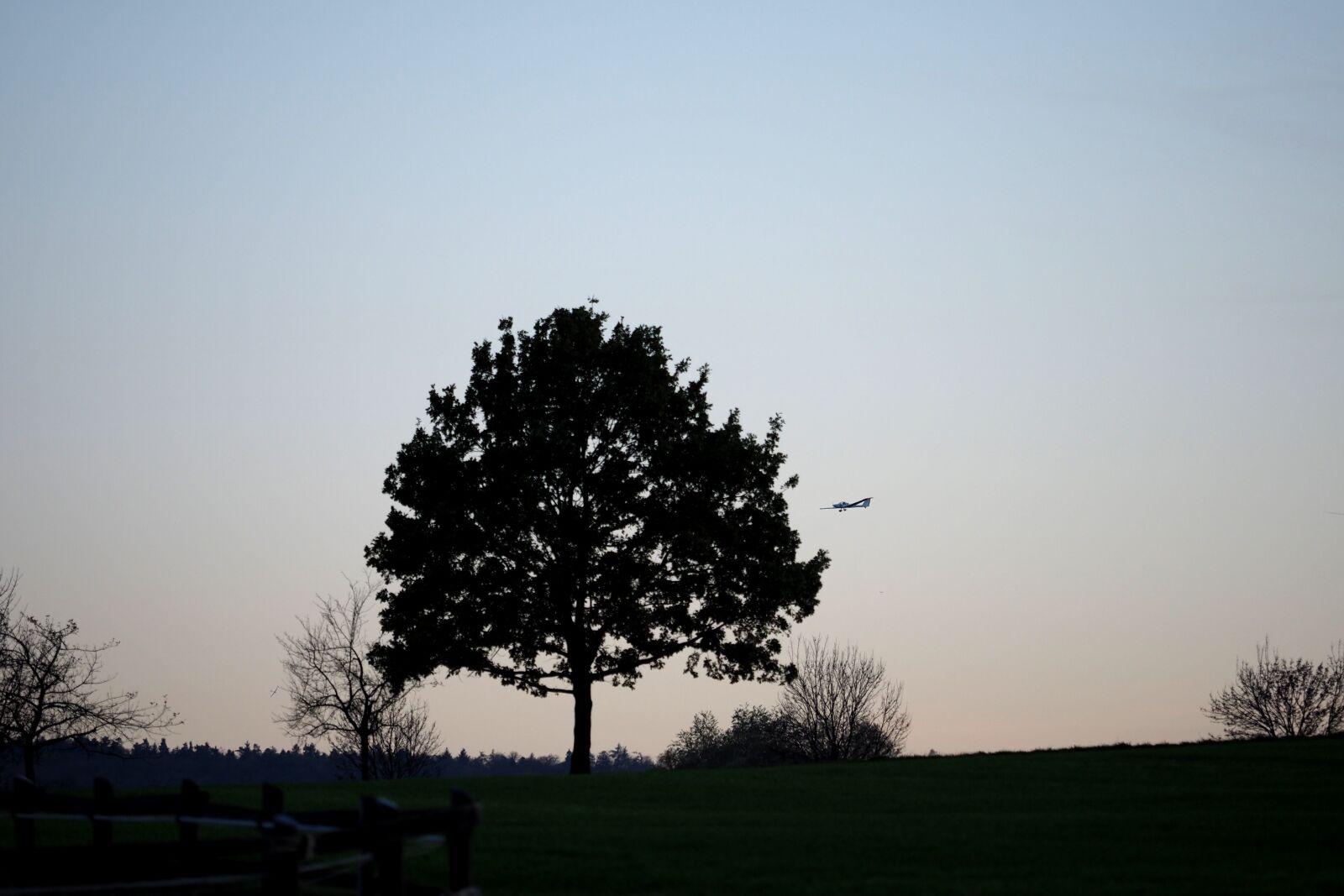 Olympus OM-D E-M1 Mark II + Olympus M.Zuiko Digital ED 40-150mm F2.8 Pro sample photo. Sunset, tree, aircraft photography