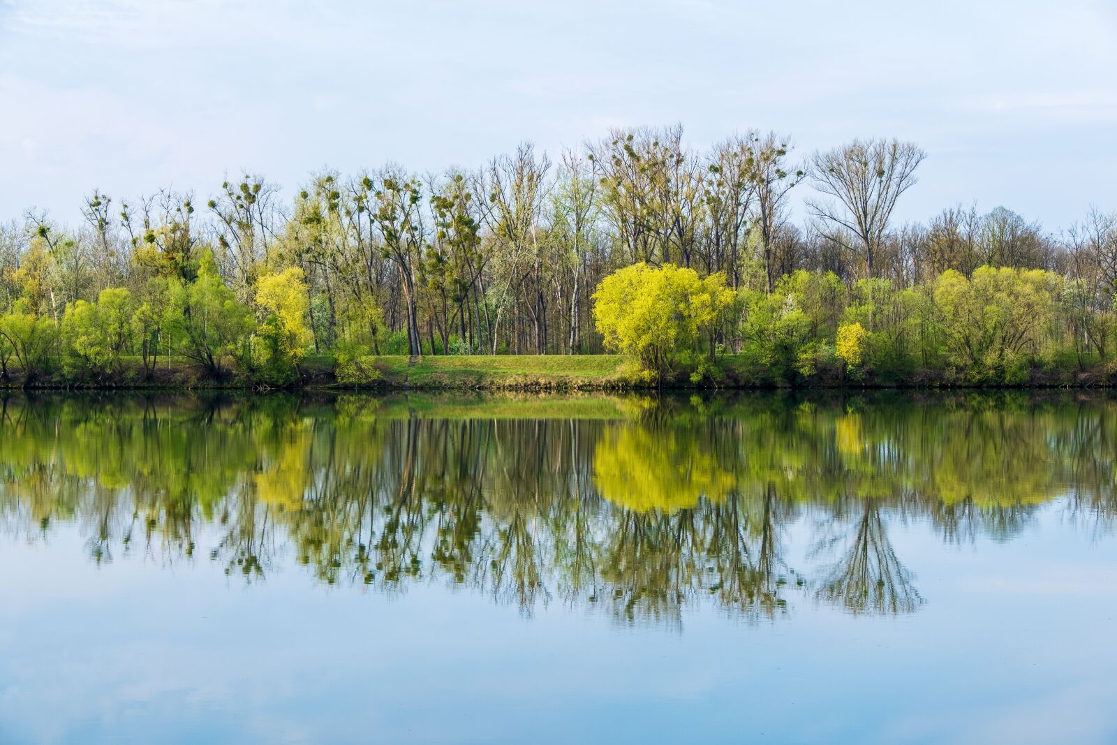 Fujifilm X-T3 sample photo. Landscape, trees, river photography