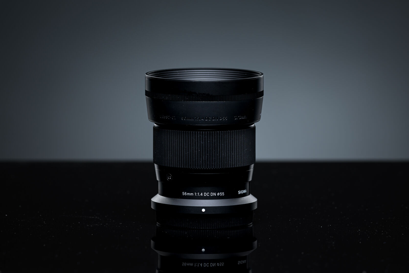 Nikon AF-S Nikkor 300mm F2.8G ED-IF VR sample photo. Sigma 56mm f1.4 dc photography