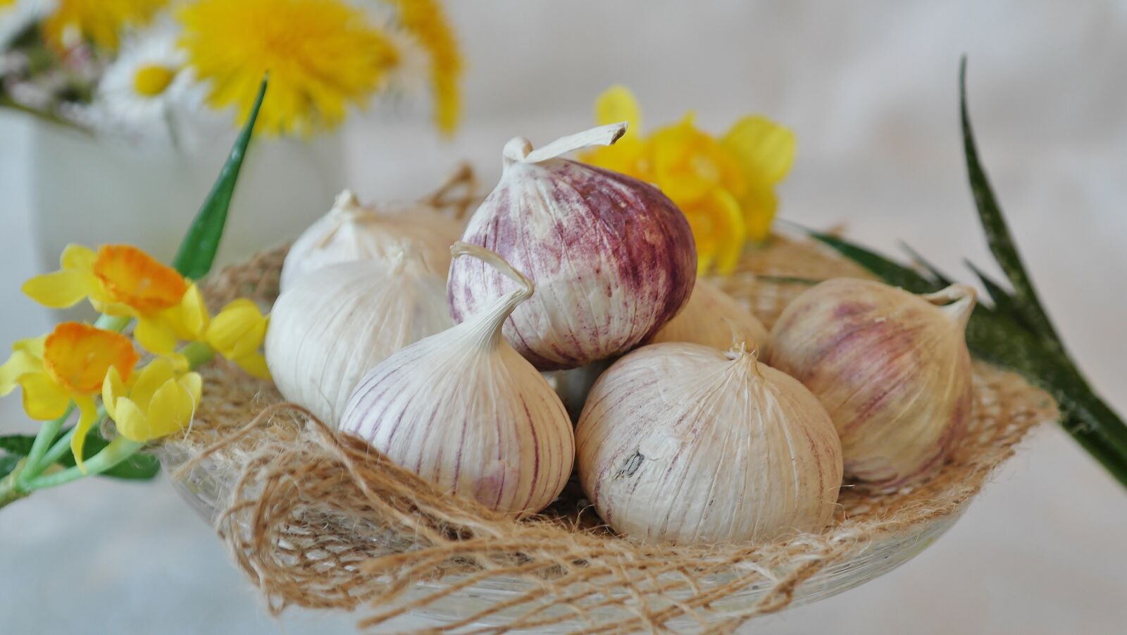 Samsung NX20 sample photo. Garlic, chinese garlic, allium photography