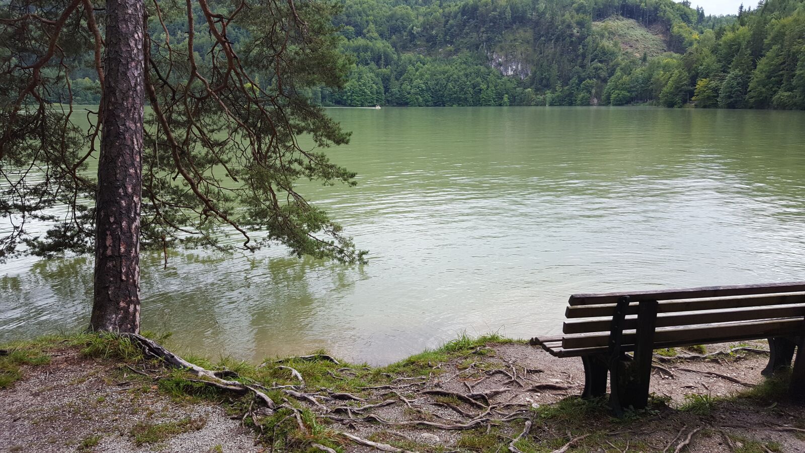 Samsung Galaxy S6 sample photo. Lake, bank, nature photography