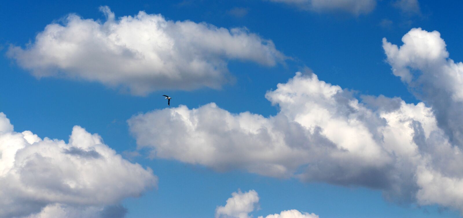 Canon EOS 700D (EOS Rebel T5i / EOS Kiss X7i) + Canon EF 85mm F1.8 USM sample photo. Sky, cloud, white photography