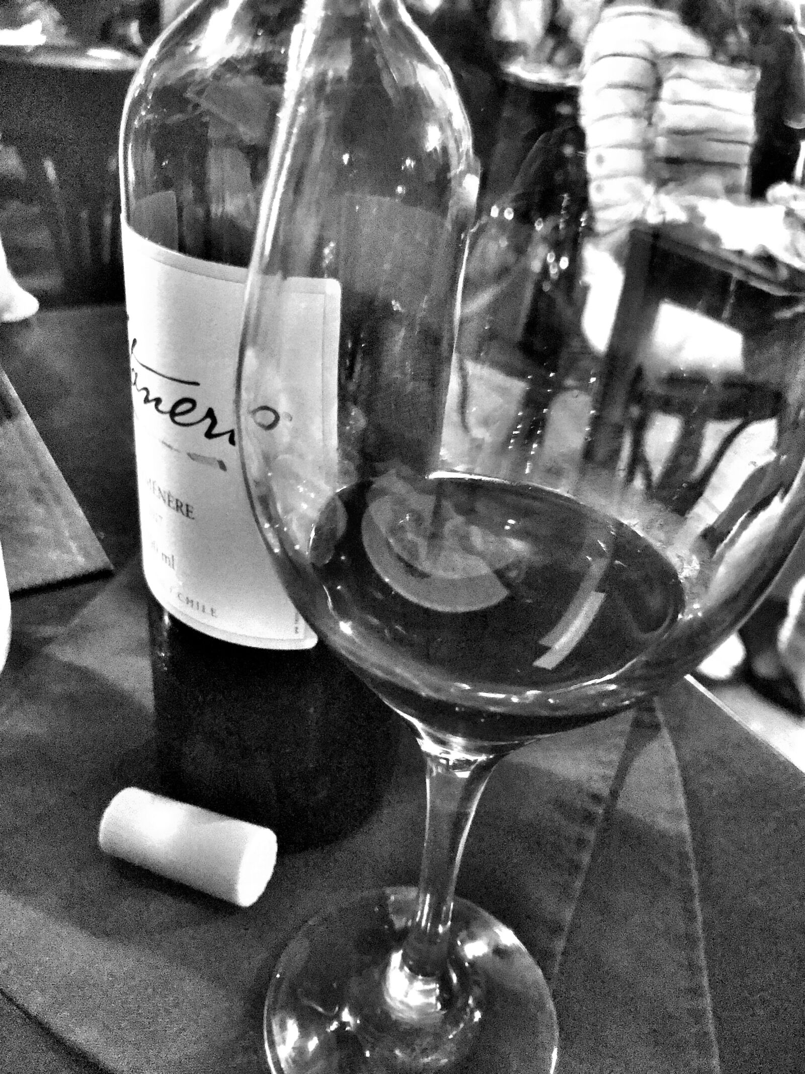 iPhone 7 back camera 3.99mm f/1.8 sample photo. Wine, drink, party photography