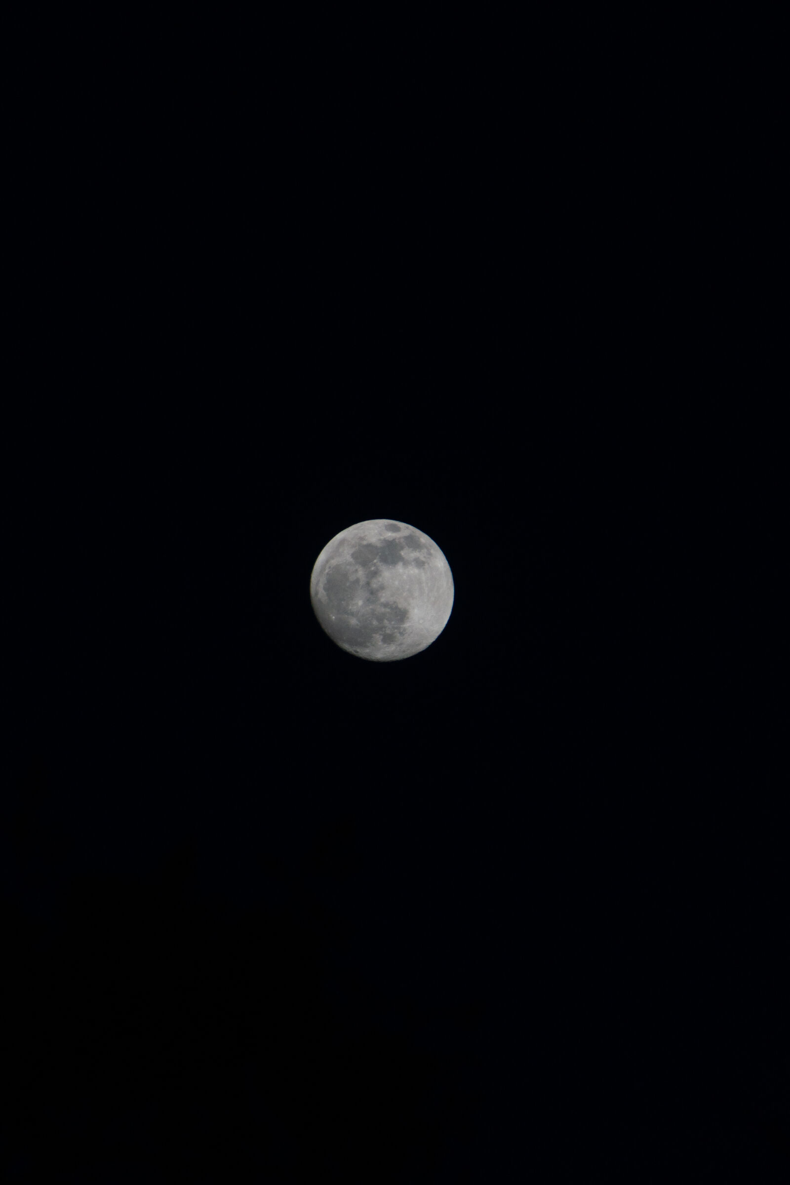 Sony SLT-A77 sample photo. Tamron af 70-300mm f4-5.6 photography