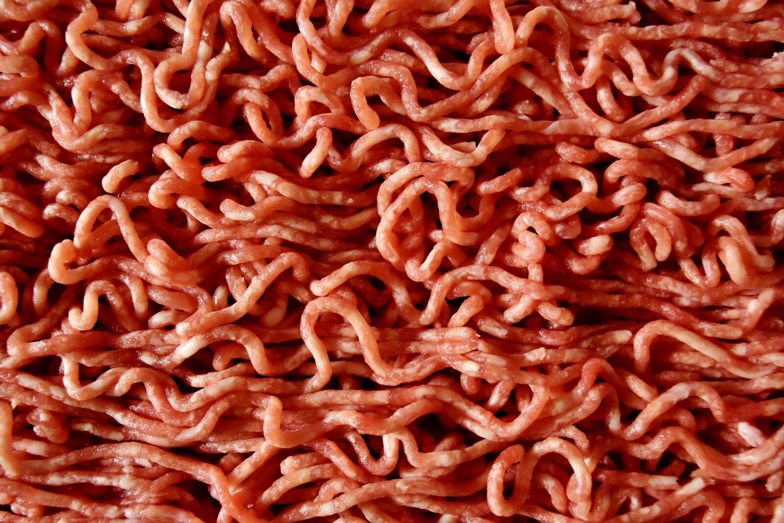 Nikon D7200 sample photo. Minced meat, meat, food photography