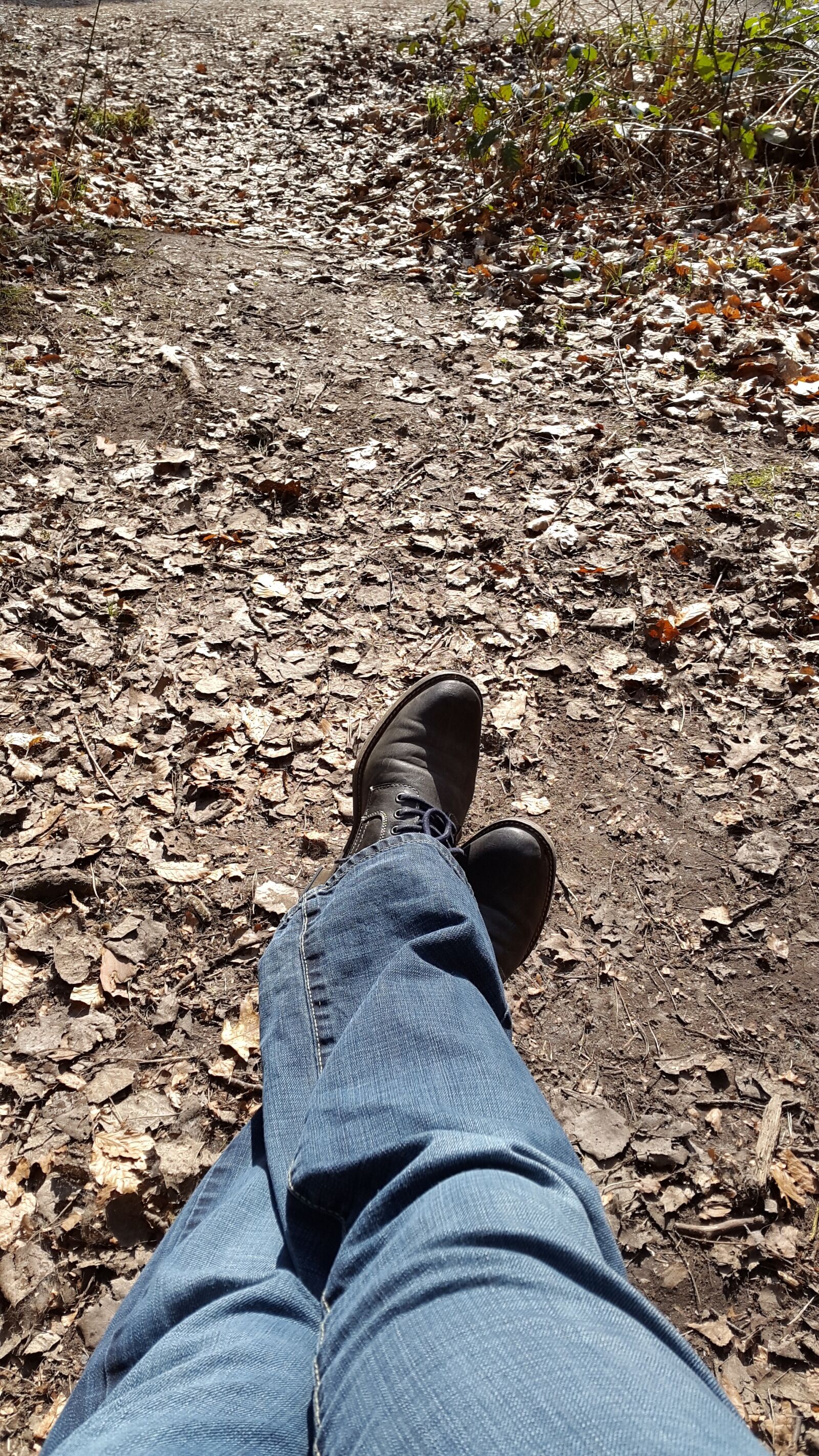 Samsung Galaxy Alpha sample photo. Relax, forest, recovery photography