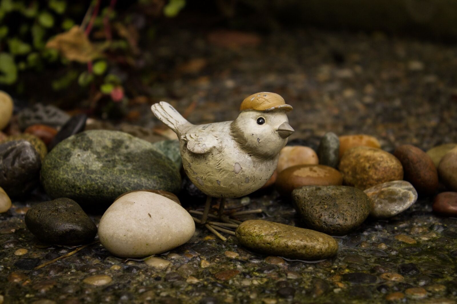 Canon EOS 1100D (EOS Rebel T3 / EOS Kiss X50) sample photo. Bird, garden, design photography