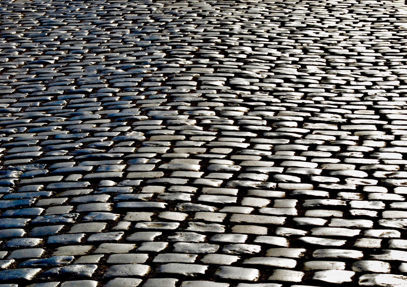 Nikon D5100 sample photo. Cobblestones, backlighting, historic center photography