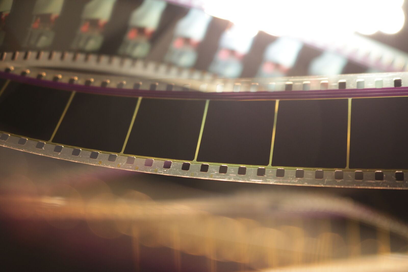 Canon EOS 750D (EOS Rebel T6i / EOS Kiss X8i) sample photo. Film 35mm, film roll photography