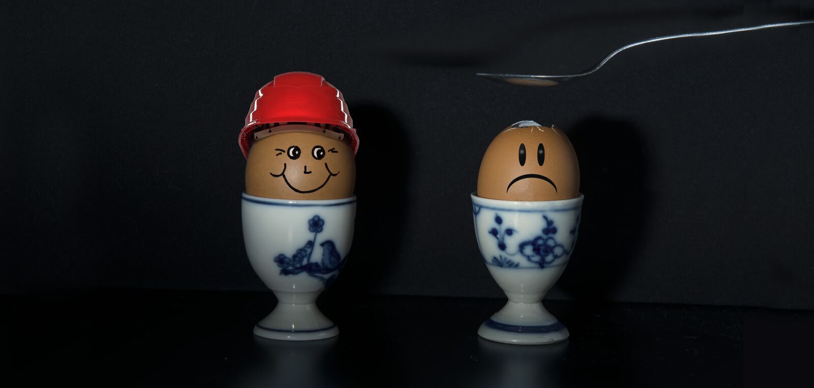 Nikon D800 sample photo. No person, ornament, desktop photography