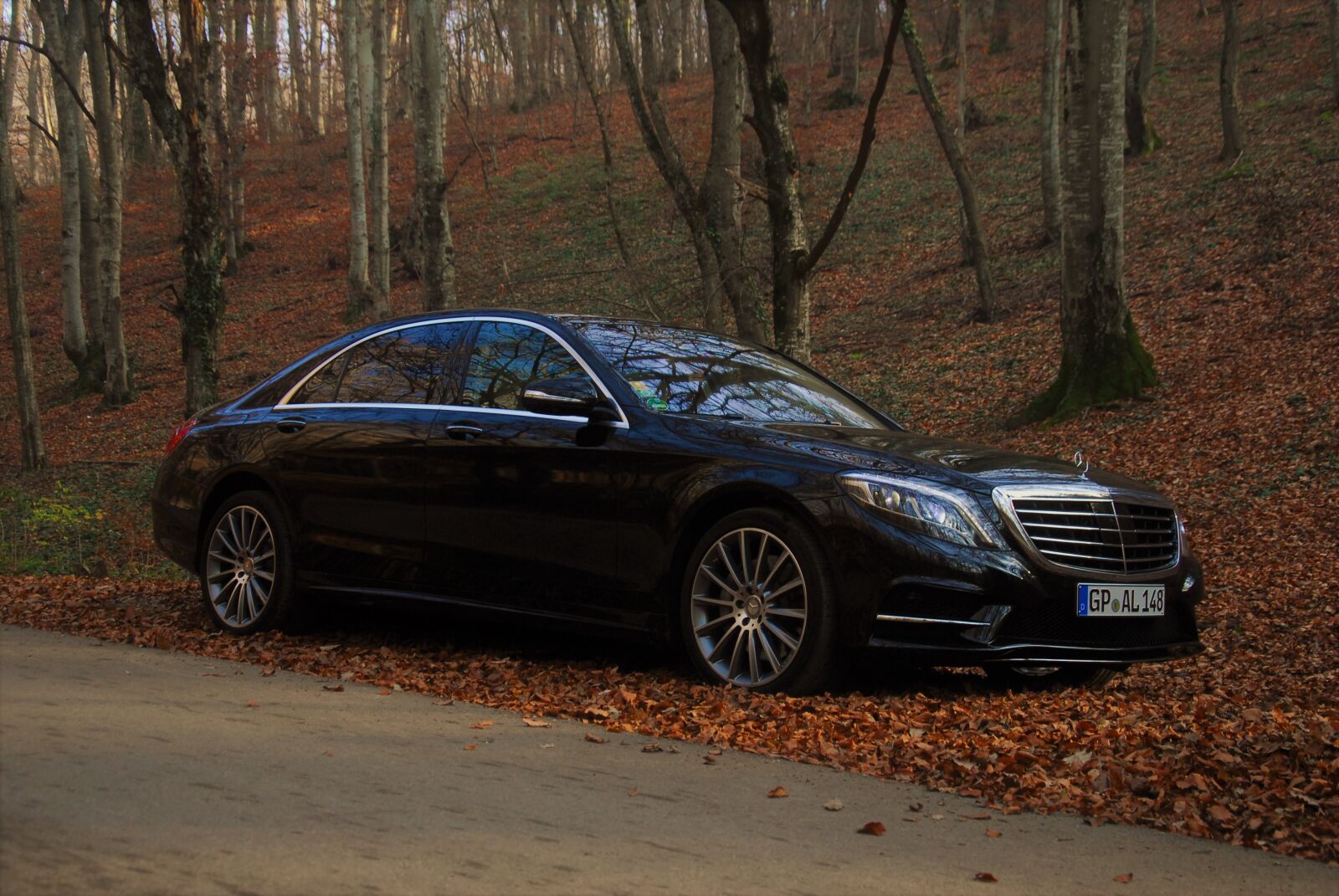Nikon D200 sample photo. Auto, autumn, benz photography