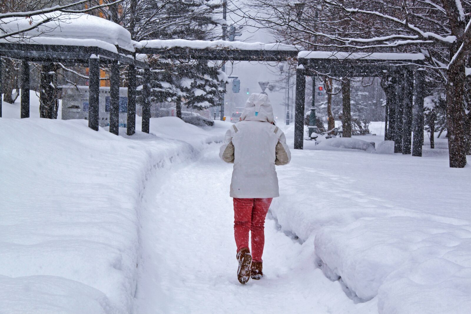 Canon EOS 500D (EOS Rebel T1i / EOS Kiss X3) sample photo. Winter, snow, beautiful photography