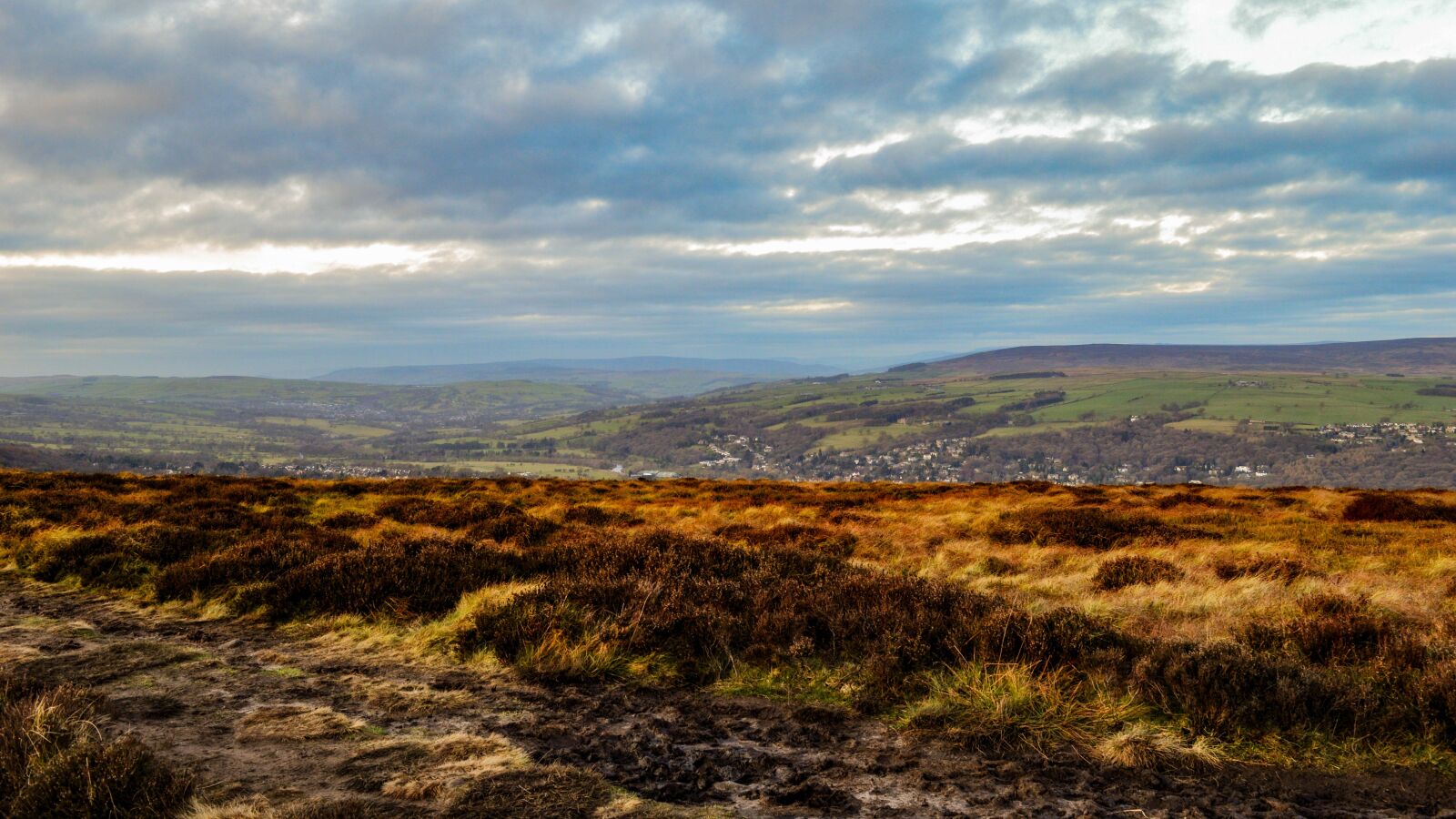 Nikon D3200 sample photo. Moor, landscape, nature photography