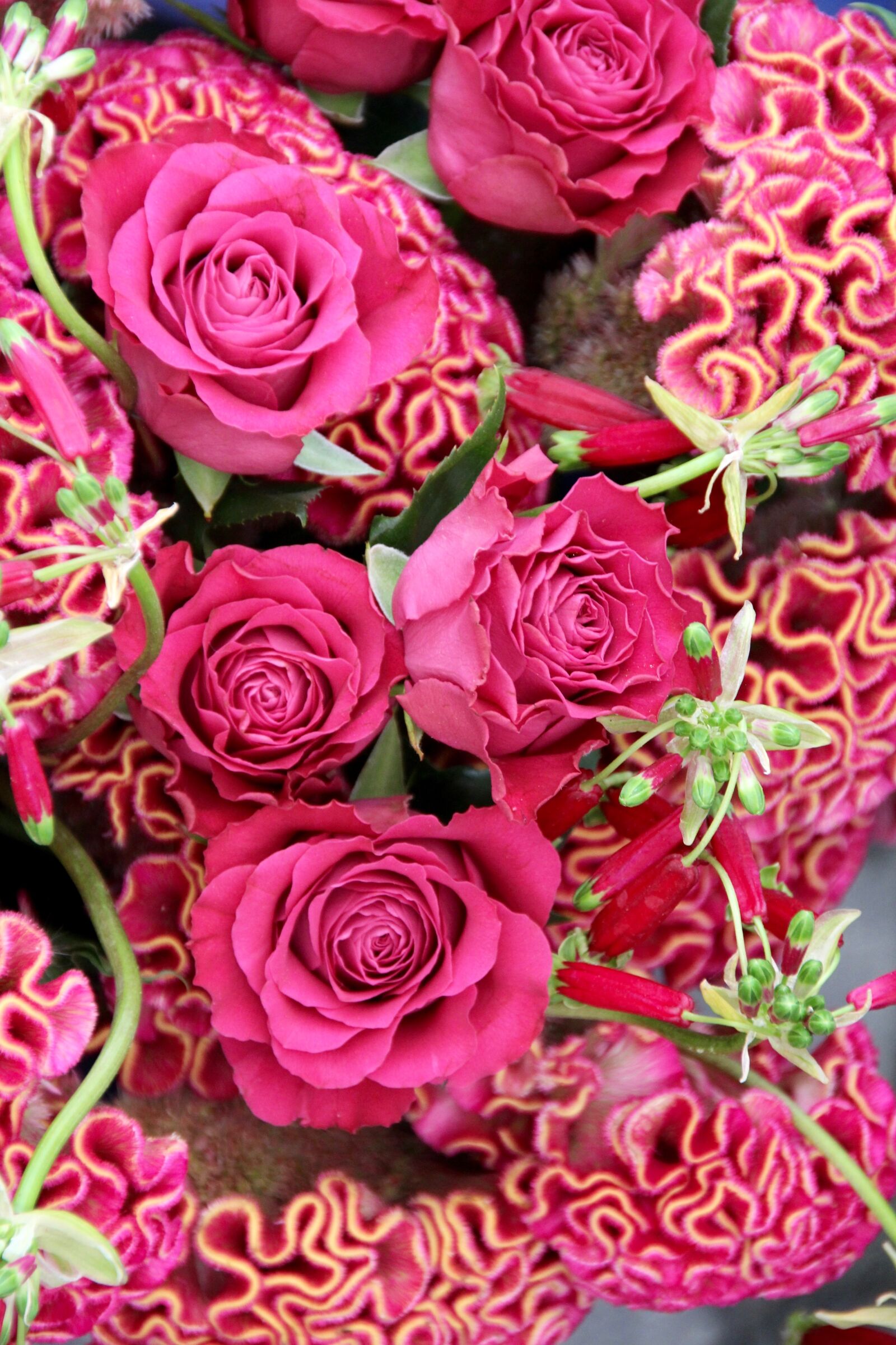 Canon EOS 60D sample photo. Bouquet of roses, top photography